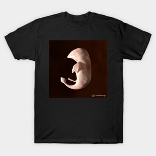 Dolphin Embryo T-Shirt